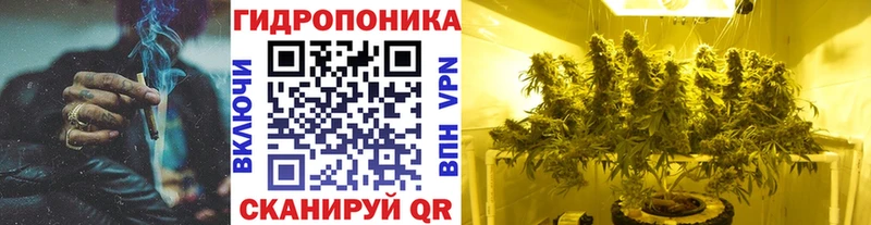 Магазин наркотиков Гусиноозёрск Cocaine  Меф мяу мяу  Бутират  Марихуана  ГАШИШ 