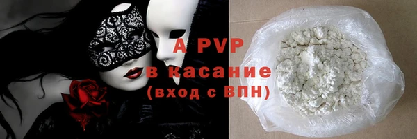 гидра Вязьма