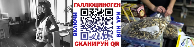 наркотики  площадка состав  Псилоцибиновые грибы Psilocybine cubensis  Гусиноозёрск 